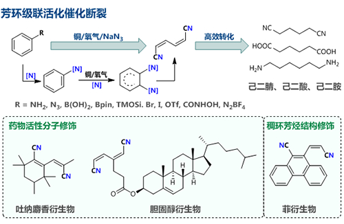 芳香烃衍生物的合成方法