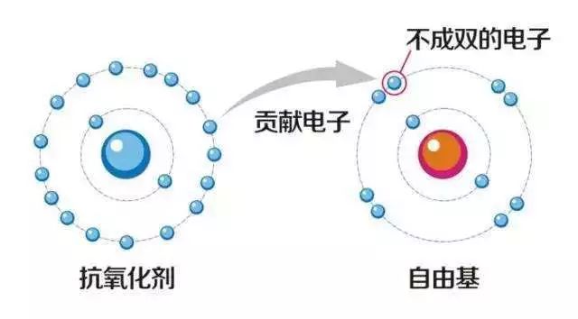 抗氧化剂化工